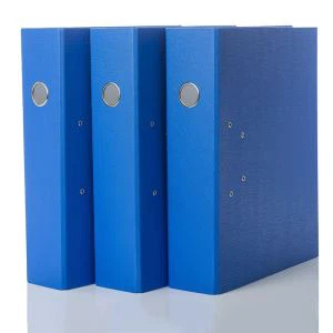 Важільний арковий файл